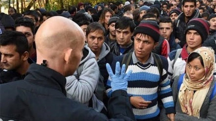 له آلمان څخه د سلګونو افغان کډوالو ویستل