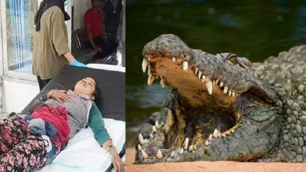 دغه میرمنه د کروکوډایل په خوله کښې ژوندې پاتې شوه