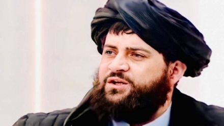  طالبان: اسلام آباد ادعای بیجا مطرح نکند