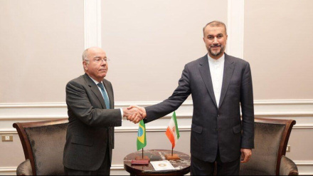 Главы МИД Ирана и Бразилии обсудили перспективу двусторонних отношений