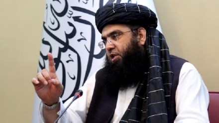 عبدالکبیر: حکومت طالبان خود را به تامین آزادی بیان متعهد می‌داند