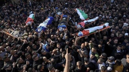 今年初めから、イスラエル軍の攻撃でパレスチナ人210人以上が殉教