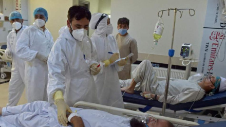 په کندوز کې د کانګو ناروغۍ درې تنه وژلي دي