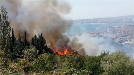 İstanbul'da orman yangını: Alevler binalara yaklaşıyor