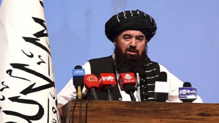 وزیر عدلیه طالبان: فعالیت حزبی، غیر شرعی و ممنوع است