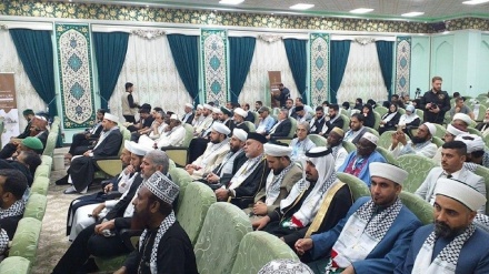  Palestine core issue in anti-hegemonic struggle: Karbala conference told 