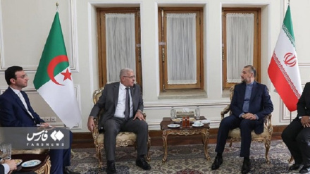 Abdollahian asisitiza azma ya Iran ya kustawisha uhusiano na Algeria katika nyuga tofauti
