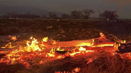 ハワイの山火事、過去100年で最多の被害者数に