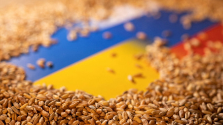 Ukraine: Werden ohne Russland weiterhin Getreide über das Schwarze Meer exportieren
