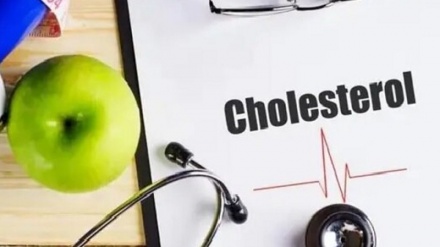 ۶ ورزش موثر برای کاهش کلسترول خون