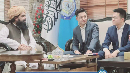 گسترش تکنولوژی در افغانستان؛ محور رایزنی طالبان با یک شرکت چینی  
