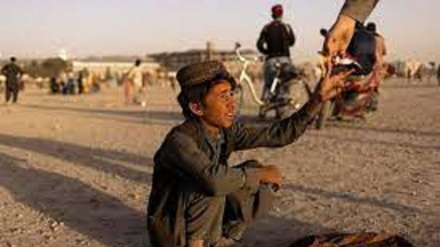 په افغانستان کې د بشري ناورین په اړه خبرداری