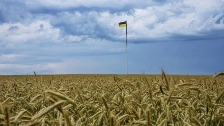 Kiew nennt Einfuhrverbot für seine Getreide durch EU 