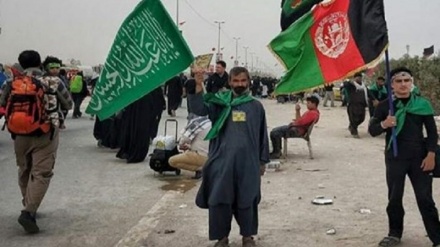 حضور زائران افغانستانی در راهپیمایی اربعین حسینی ، برندگان مزایده معادن و اعلام نتایج کنکور