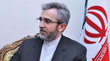  Iran has no more funds blocked abroad over sanctions: Deputy FM 