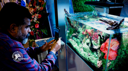 (FOTO) La mostra nazionale dell'industria dell'acquariofilia a Teheran - 1