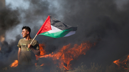 2023 年 8 月有13 名巴勒斯坦人在西岸和被占领的古都斯市殉难 