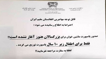 صدور پاسپورت برای بزرگسالان در سفارت افغانستان در ایران متوقف شد