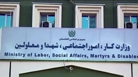 تاسیس شورای عالی کار در وزارت کار طالبان