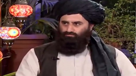 مقام طالبان: به زبان فارسی افتخار می کنم و به آن محبت دارم