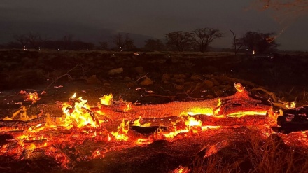 Shkon në 93 numri i viktimave nga zjarret në Hawaii