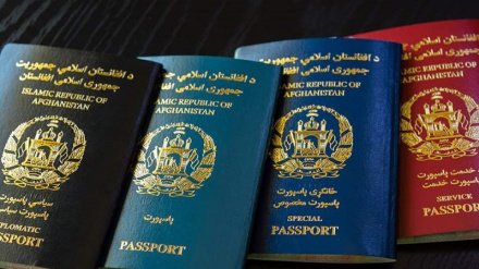 په درېیو هېوادونو کې د کډوالو لپاره د پاسپورتونو د وېش بهیر پیل شوی