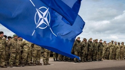 Увеличение военного присутствия трех стран-членов НАТО на границе с Беларусью