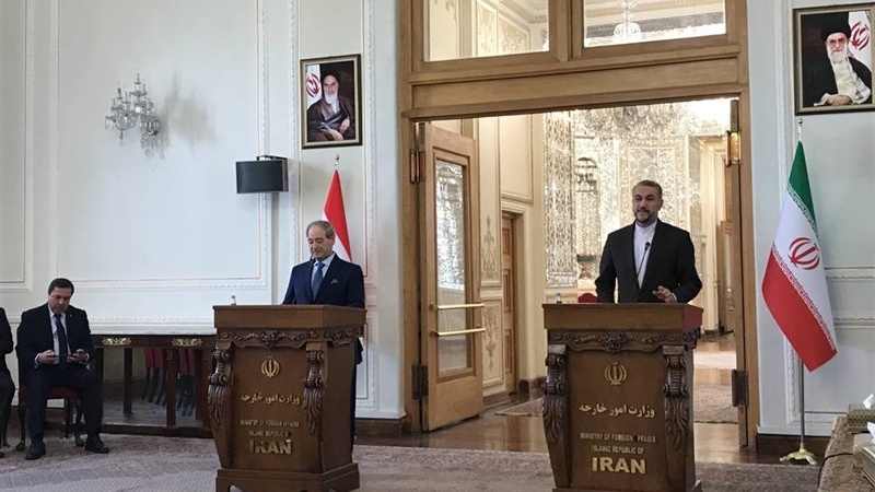 イランのアミールアブドッラーヒヤーン外相とシリアのミグダード外