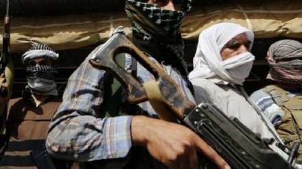ادعای کشته شدن ۴ عضو طالبان در کابل