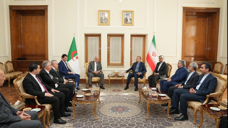 Amir-Abdollahian: Iran will Beziehungen zu Algerien verbessern