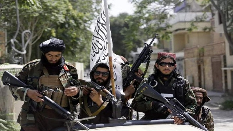 فتوای عضو ارشد دادگاه طالبان علیه جنگ در پاکستان