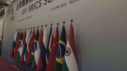  BRICS leaders meet in South Africa 