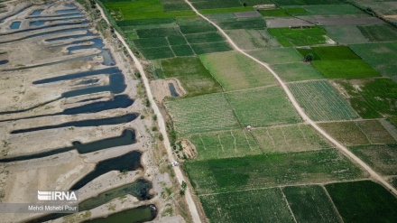  تصاویر: آخر این قصه بیابان است...