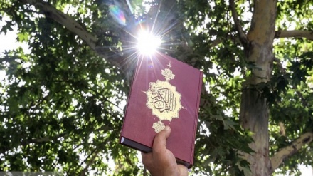 Penistaan Al-Qur'an Kembali Terjadi di Denmark
