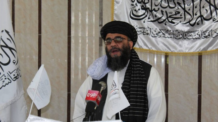 په پنجشیر ولایت کې له بشري حقونو څخه د سرغړونو په تړاو ادعاوې رد شوې