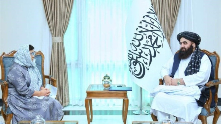 طالبان: فضای مناسبی برای توزیع کمک‌های جهانی ایجاد کرده‌ایم 
