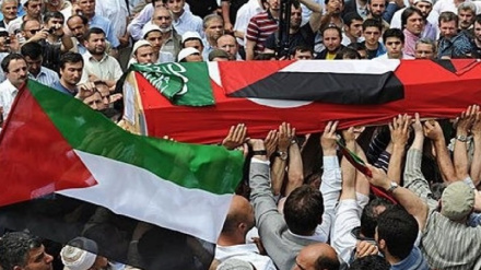 Nel 2023, ogni giorno muore un palestinese + VIDEO