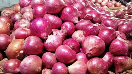 পেঁয়াজ আসার আগেই দামের নৈরাজ্যে অস্থির বাজার; প্রশাসনের তদারকির দুর্বলতাকে দুষছে ক্যাব 