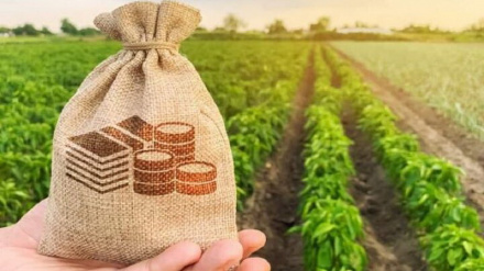 Разнообразные возможности в сельском хозяйстве Ирана по экспорту в Африку