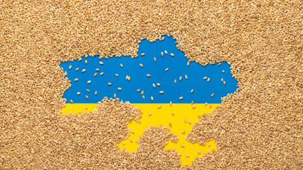 Тавофуқи аввалия байни Русия ва Туркия барои таъмини як миллион тон ғаллот
