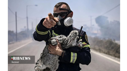 (FOTO DEL GIORNO) Incendi in Grecia