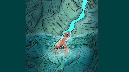 (VIGNETTE) No comment