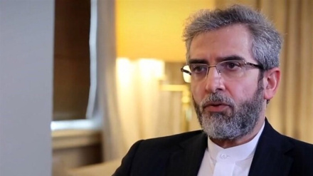 İroni molonku çand milyard dollar ozod kardey proses bino bıə