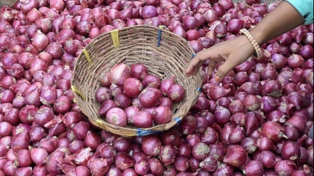टमाटर के बाद प्याज़ भी हो सकती है लाल, केन्द्र के फ़ैसले से व्यापारी नाराज़