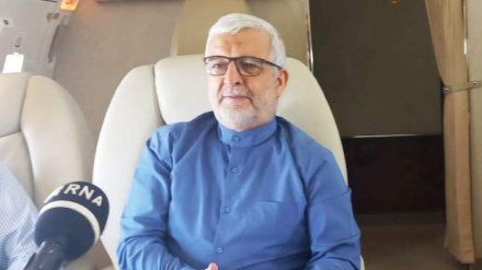 Каземи Коми: Америка хочет, чтобы Афганистан стал критической территорией для ее соседей