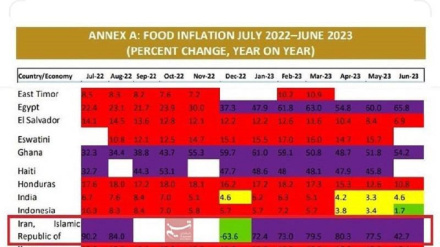 نړیوال بانک: په ایران کې د خوراکي توکو انفلاسیون نیمايي ته راښکته شوی