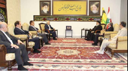 Встреча иранской парламентской делегации с генеральным секретарем ливанской 