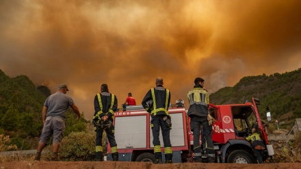 Spanjë: Evakuimi i mijëra njerëzve nga zjarret në ishullin Tenerife