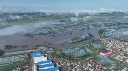  Typhoon Doksuri in China triggers heavy rainfall, submerging houses and farms 