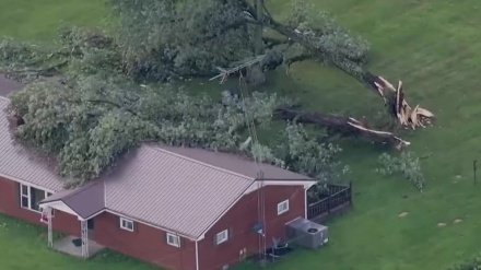 美国东部风暴致两人死亡 大量航班取消、用户断电